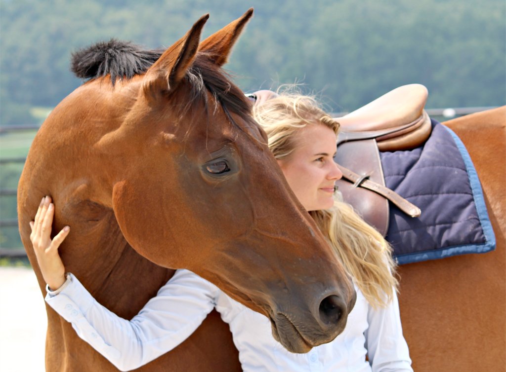 Horse Training for Beginners
